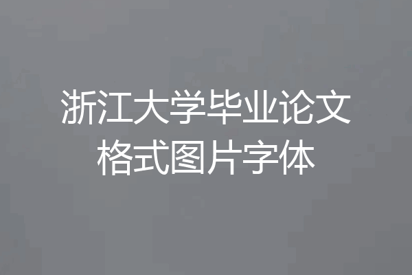 浙江大学毕业论文格式图片字体