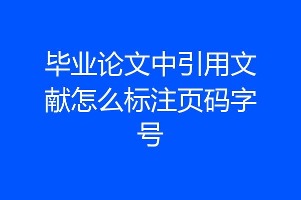 毕业论文中引用文献怎么标注页码字号