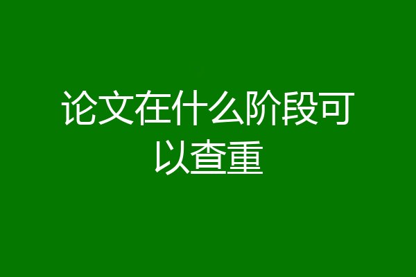 论文在什么阶段可以查重