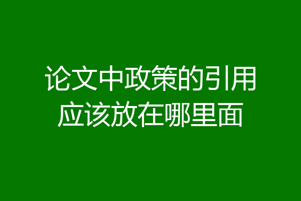 论文中政策的引用应该放在哪里面