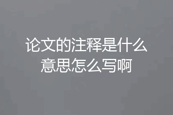 论文的注释是什么意思怎么写啊
