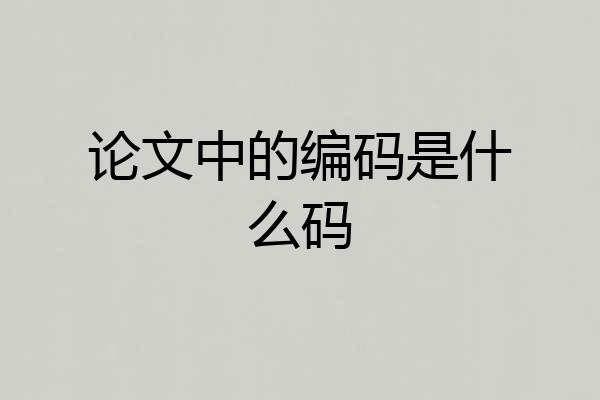论文中的编码是什么码