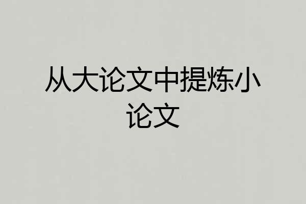 从大论文中提炼小论文