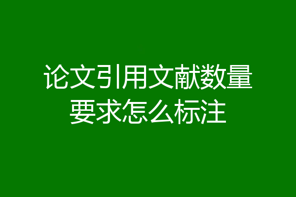 论文引用文献数量要求怎么标注