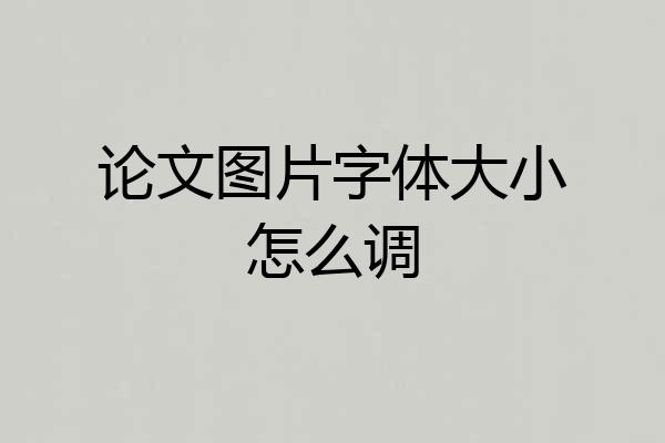 论文图片字体大小怎么调