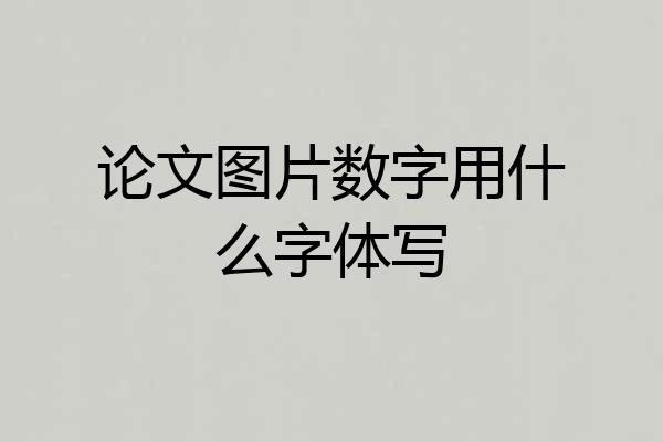 论文图片数字用什么字体写