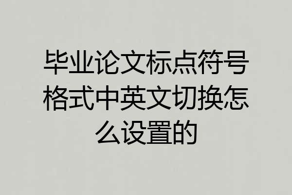 毕业论文标点符号格式中英文切换怎么设置的
