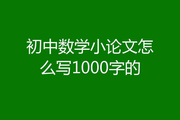 初中数学小论文怎么写1000字的