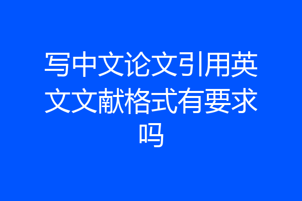 写中文论文引用英文文献格式有要求吗