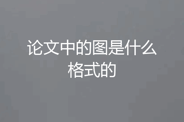 论文中的图是什么格式的