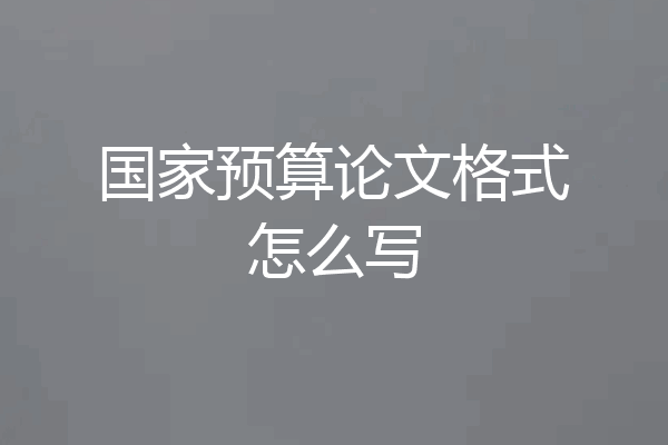 国家预算论文格式怎么写