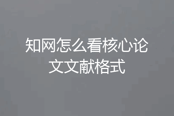 知网怎么看核心论文文献格式