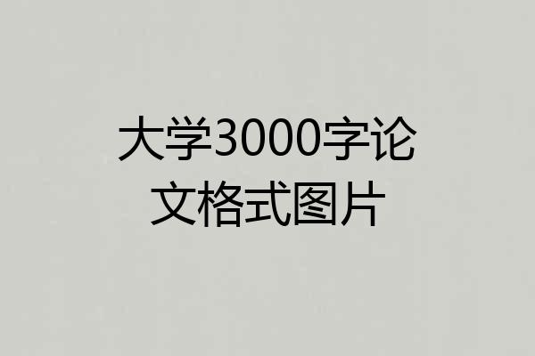 大学3000字论文格式图片
