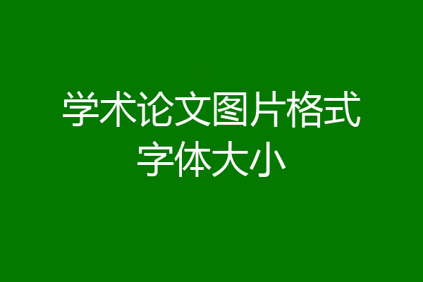 学术论文图片格式字体大小
