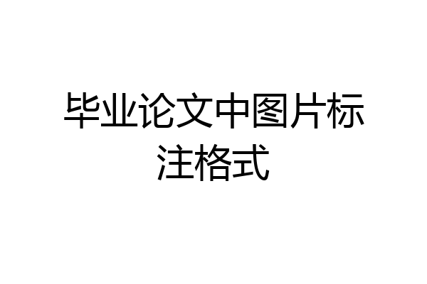 毕业论文中图片标注格式