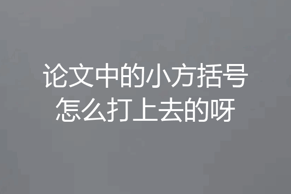 论文中的小方括号怎么打上去的呀