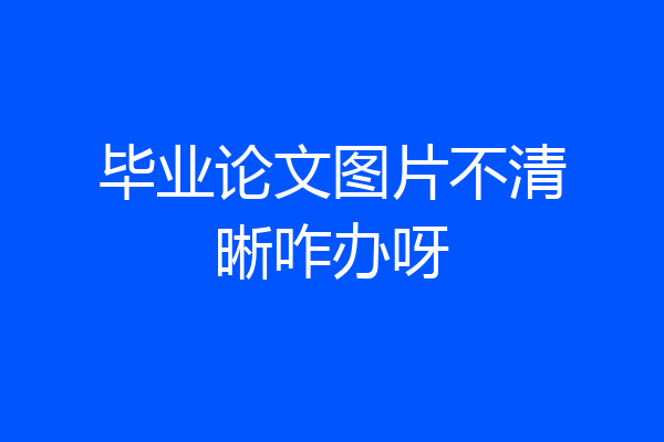 毕业论文图片不清晰咋办呀