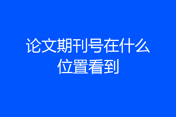 论文期刊号在什么位置看到