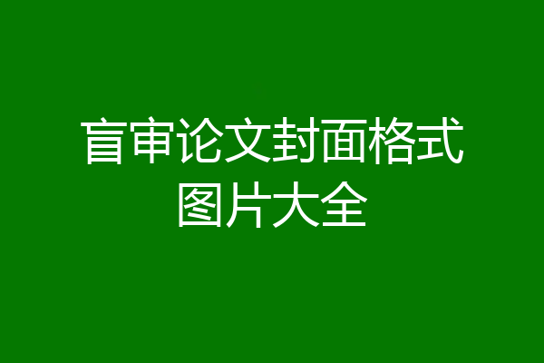 盲审论文封面格式图片大全