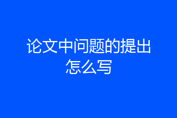 论文中问题的提出怎么写