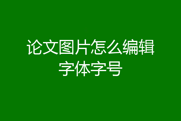 论文图片怎么编辑字体字号