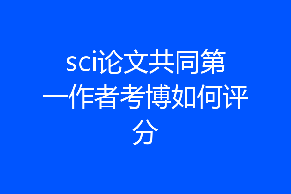 sci论文共同第一作者考博如何评分