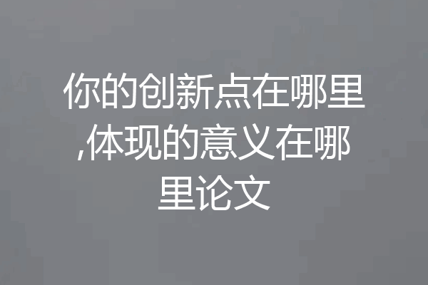 你的创新点在哪里,体现的意义在哪里论文