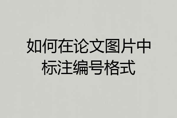 如何在论文图片中标注编号格式