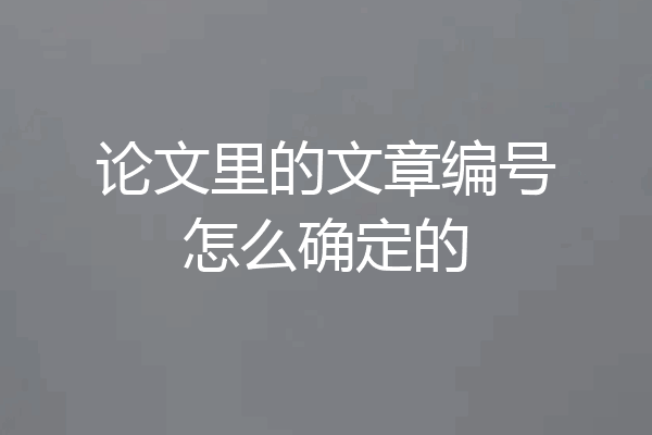 论文里的文章编号怎么确定的