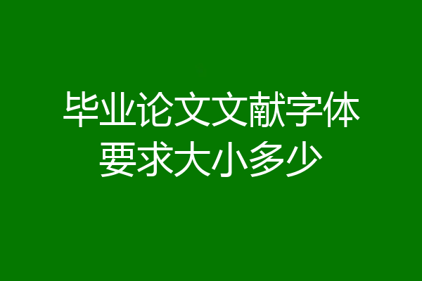 毕业论文文献字体要求大小多少