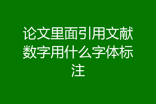 论文里面引用文献数字用什么字体标注
