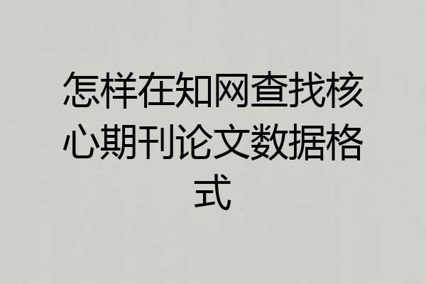 怎样在知网查找核心期刊论文数据格式