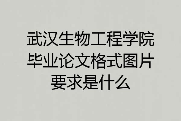 武汉生物工程学院毕业论文格式图片要求是什么