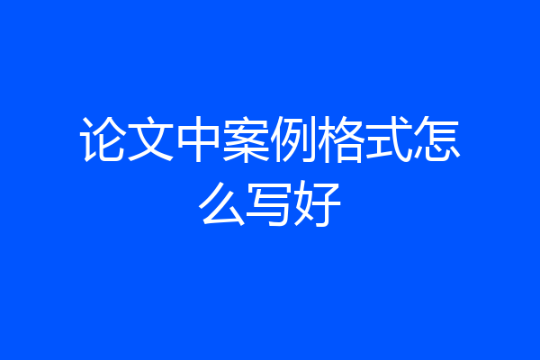 论文中案例格式怎么写好