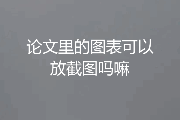 论文里的图表可以放截图吗嘛