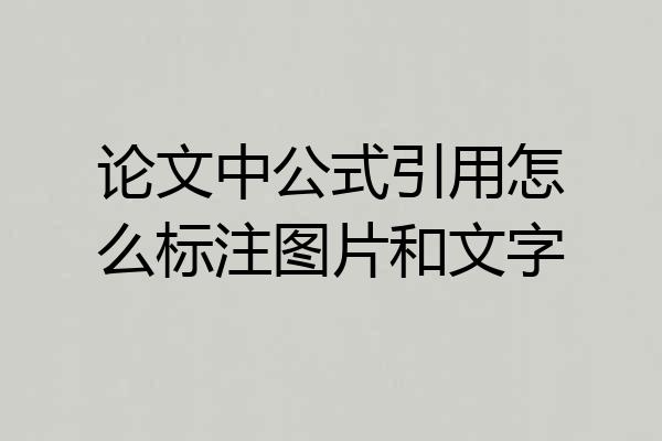论文中公式引用怎么标注图片和文字