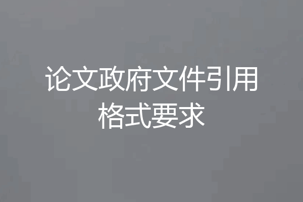论文政府文件引用格式要求