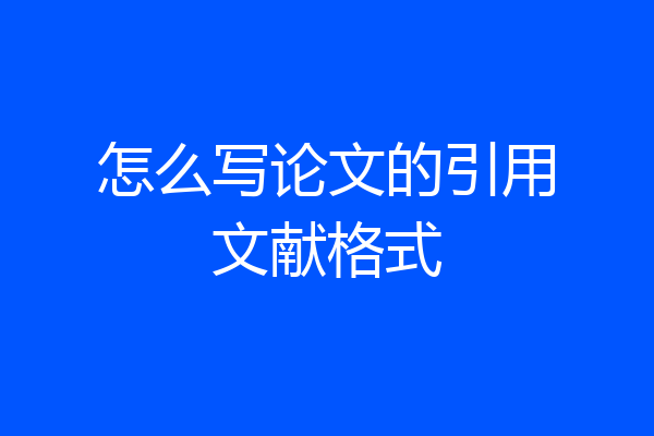 怎么写论文的引用文献格式