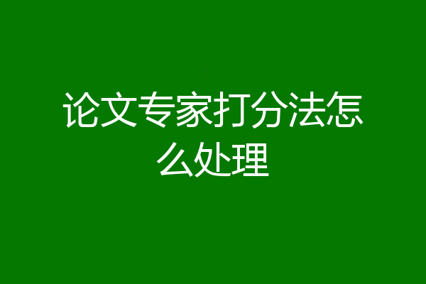 论文专家打分法怎么处理