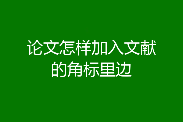 论文怎样加入文献的角标里边