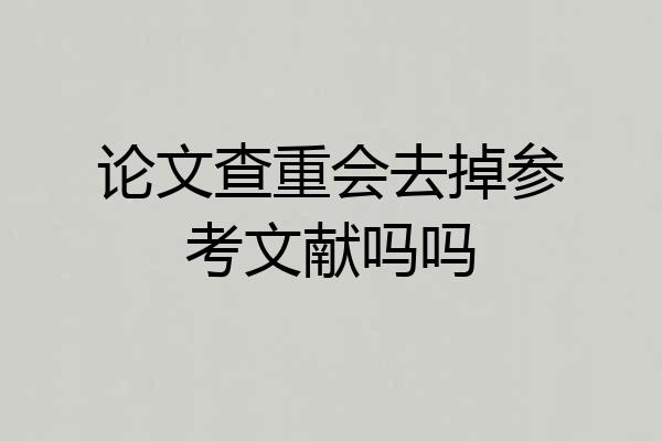 论文查重会去掉参考文献吗吗