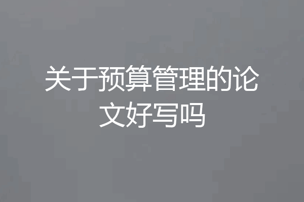 关于预算管理的论文好写吗