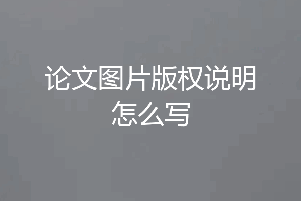 论文图片版权说明怎么写