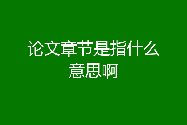 论文章节是指什么意思啊