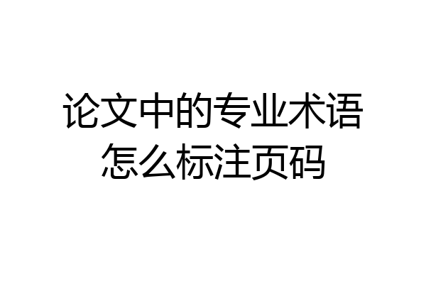 论文中的专业术语怎么标注页码