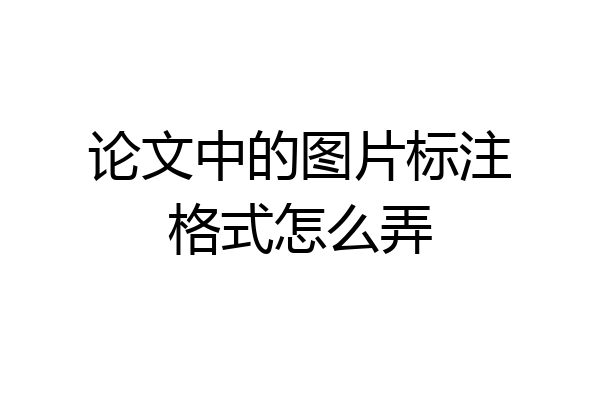 论文中的图片标注格式怎么弄
