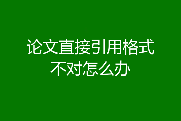 论文直接引用格式不对怎么办