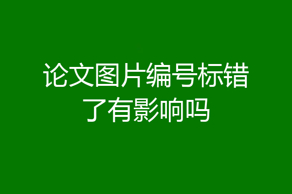 论文图片编号标错了有影响吗