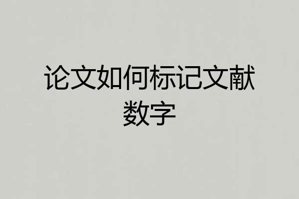 论文如何标记文献数字