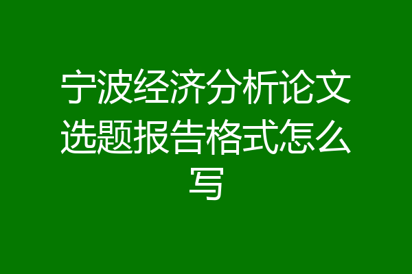 宁波经济分析论文选题报告格式怎么写